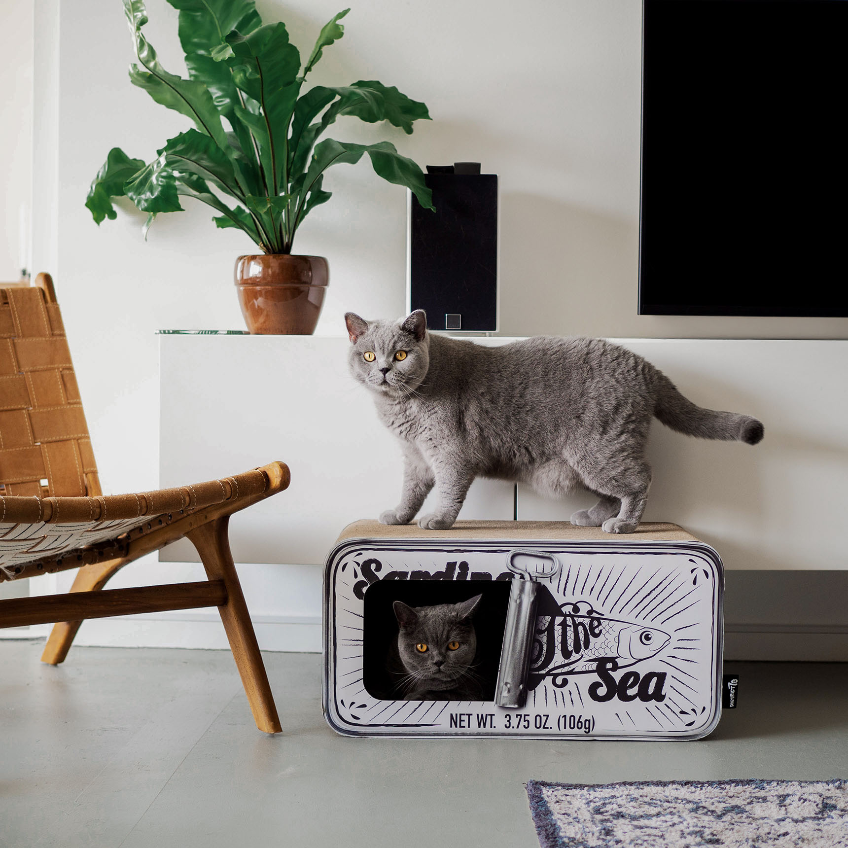 SARDINE - Cardboard Cat Scratcher - 60 x 30 x 30 cm - White, Black and Pink-6