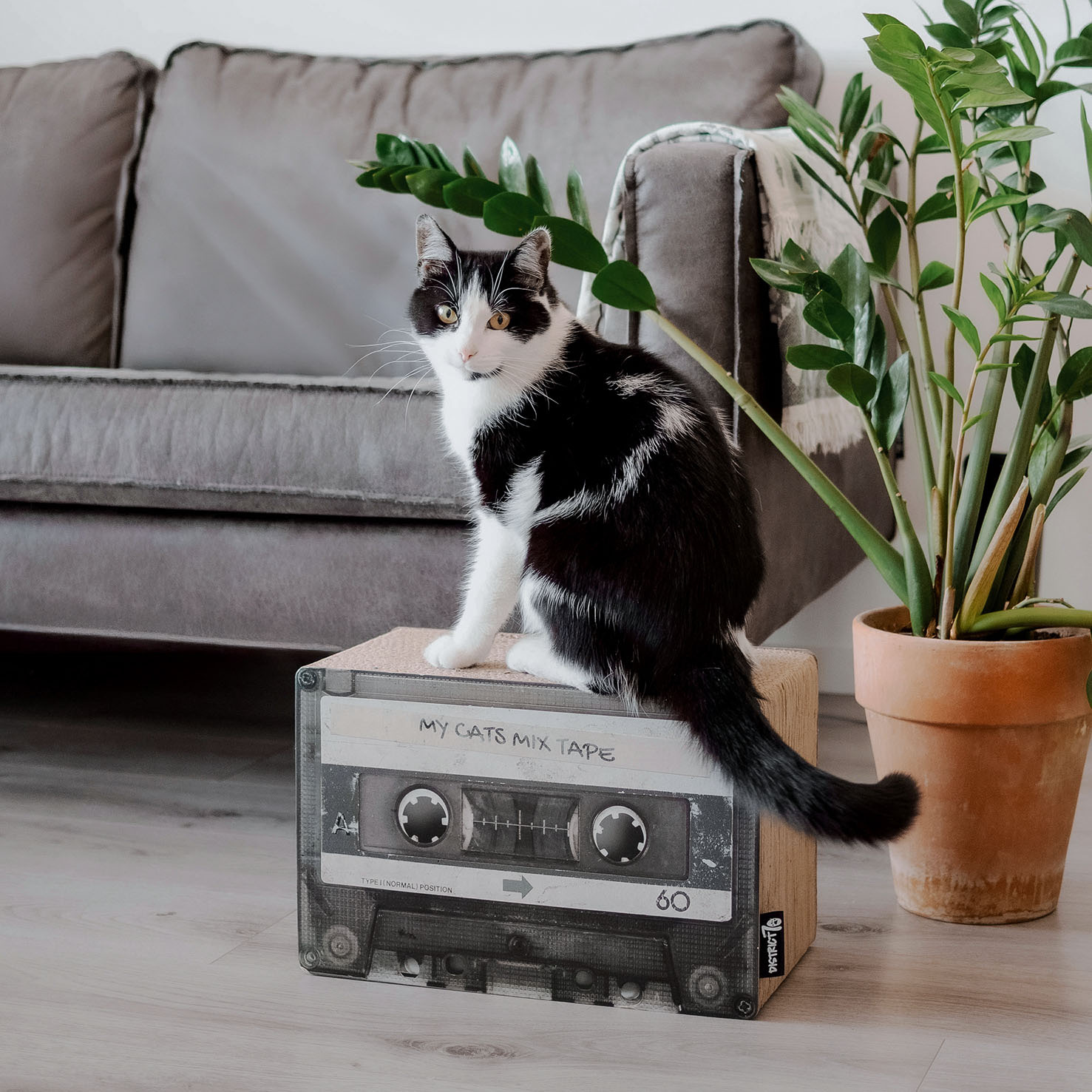 MIXTAPE - Retro Cardboard Cat Scratcher - 54 x 31 x 35 cm-2