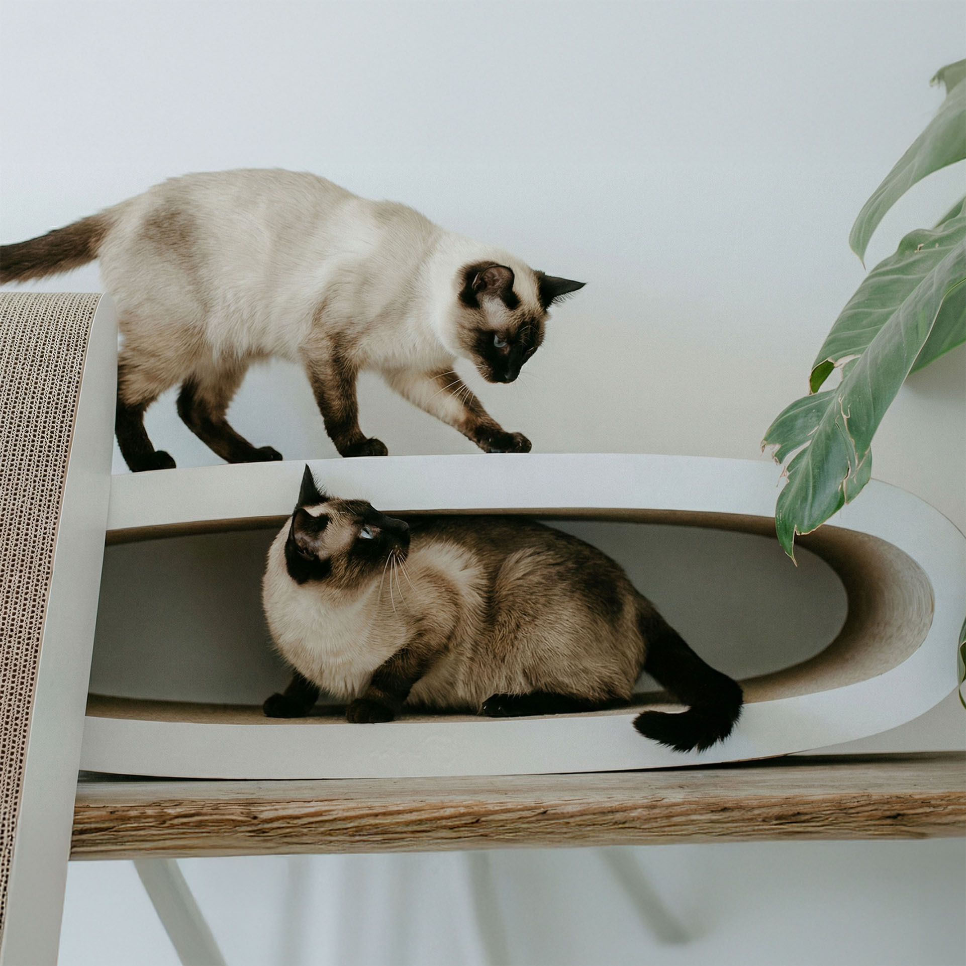 OVAL OFFICE – Scandinavisch 2-in-1 Krabmeubel - 84 x 24 x 24 cm-2