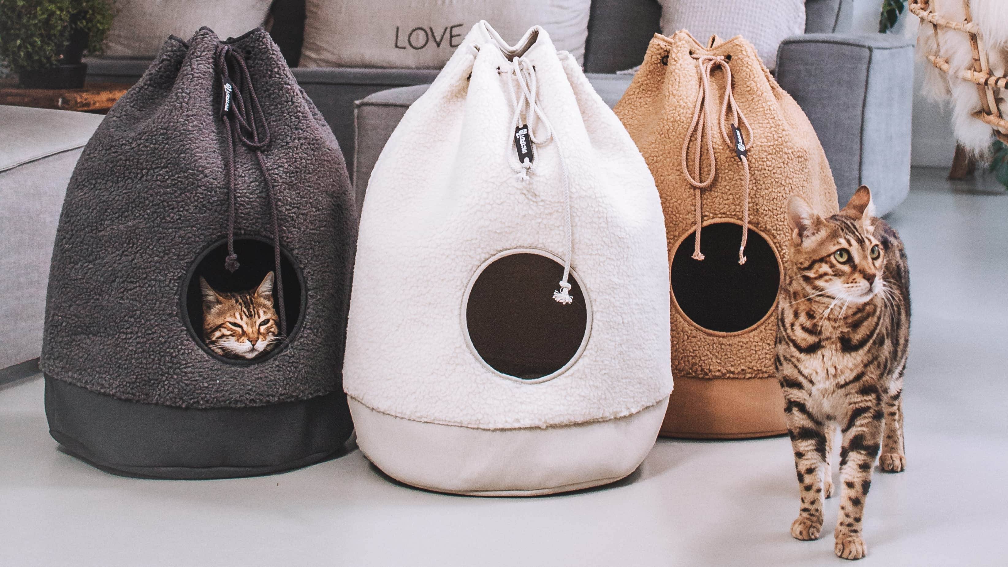 A stylish teddy cat house