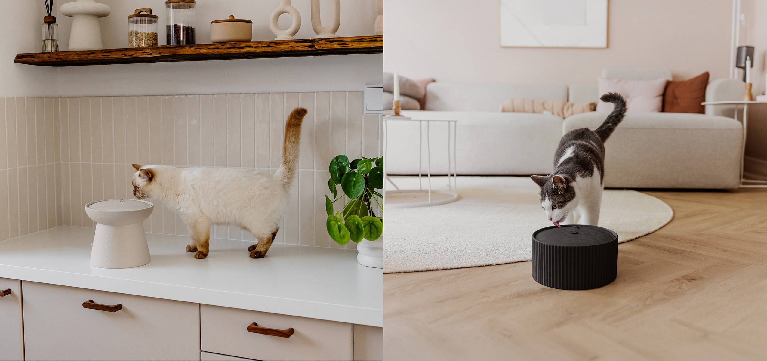 Ceramic fountains and matching cat bowls