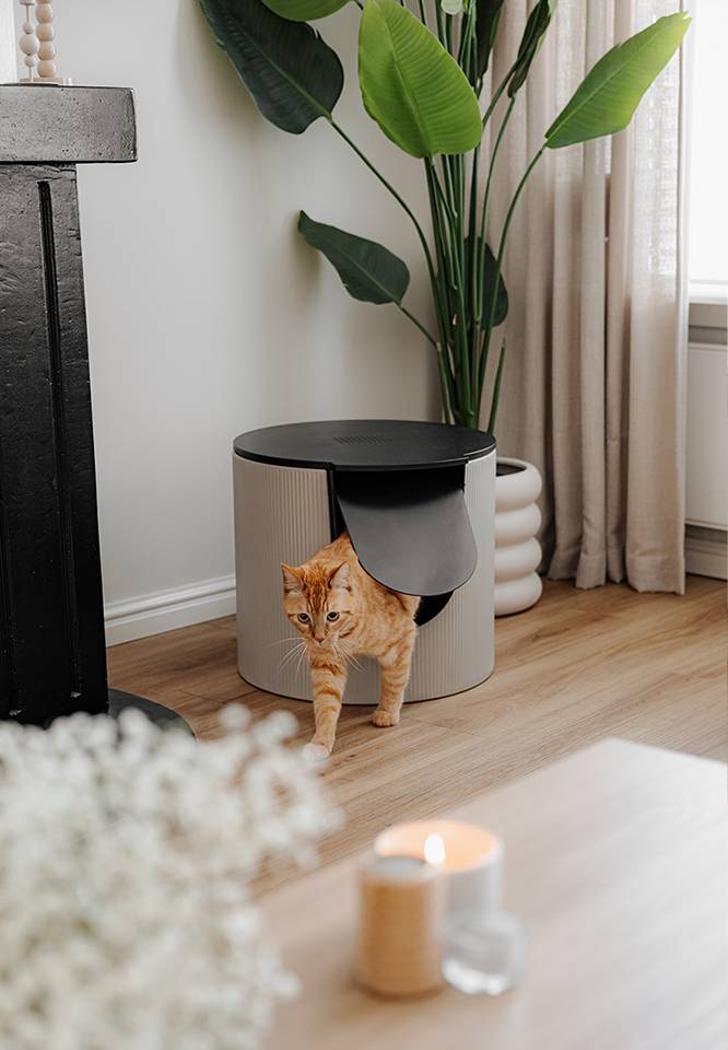 Litter boxes that complement your interior