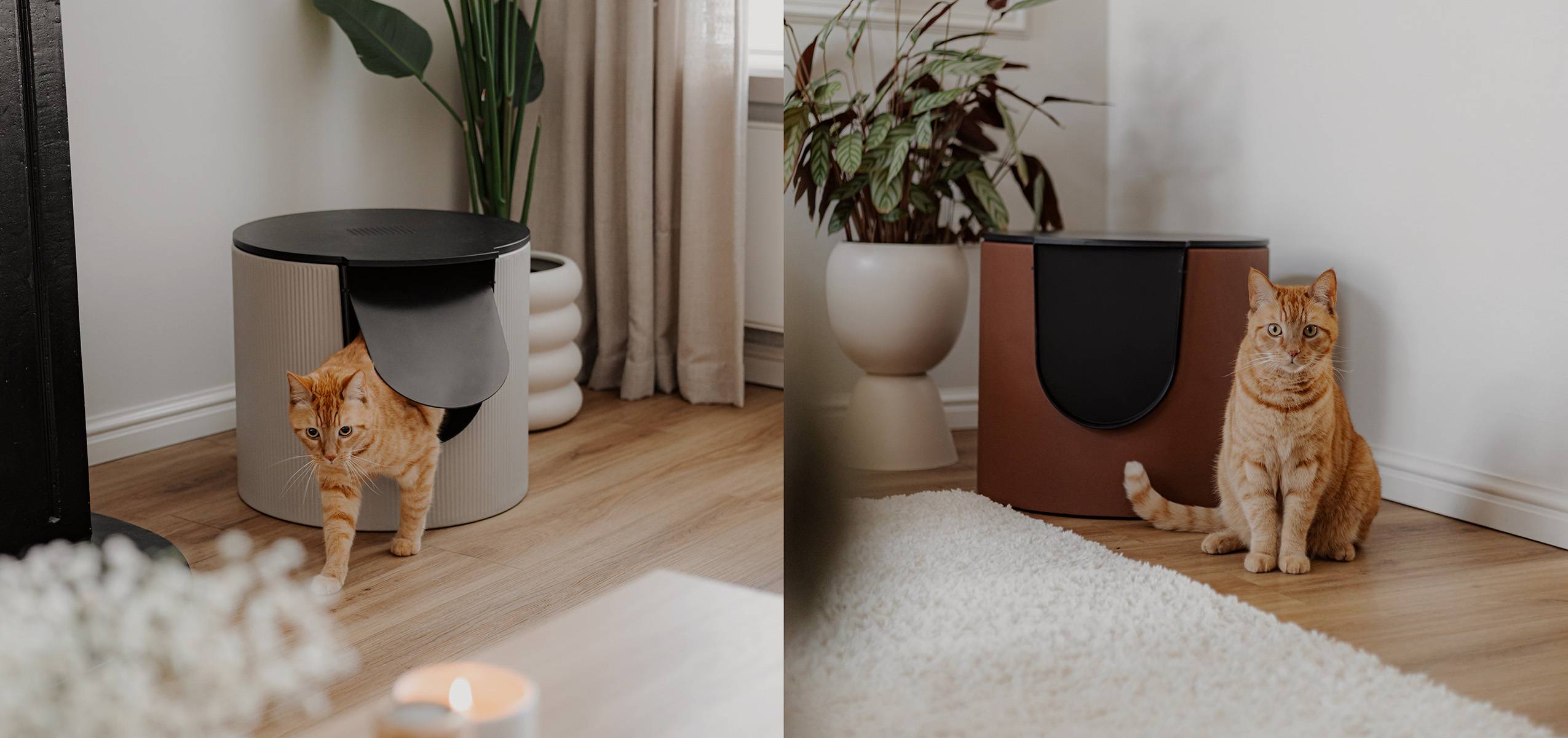 Litter boxes that complement your interior
