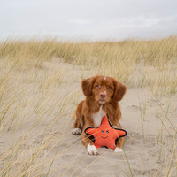 Beco Beco Plush Toy - Sindy the Starfish