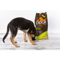 DOGR DOGR Maxi 12 kg