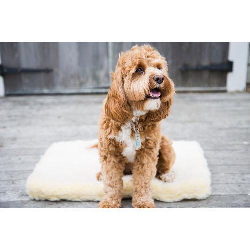 Petstages HuggleHounds® Fleece Mat