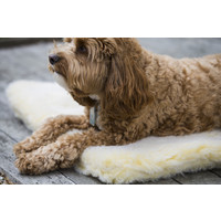 Petstages HuggleHounds® Fleece Mat