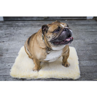 Petstages HuggleHounds® Fleece Mat