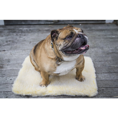 Petstages Huggle Hound Fleece Mat Extra Large