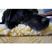 Petstages Huggle Hound Fleece Mat Extra Large