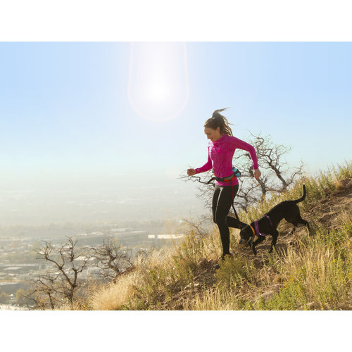 Kurgo Kurgo Excursion Running Belt