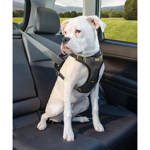 Kurgo Kurgo - Impact Dog Car Harness