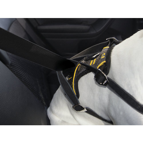 Kurgo Kurgo - Impact Dog Car Harness