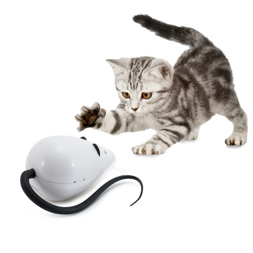 PetSafe® Frolicat® ROLORAT™ Automatic Cat Teaser
