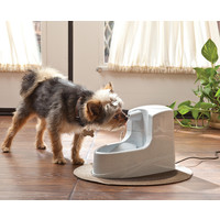 Drinkwell Drinkwell® Trinkbrunnen Mini - 1.2 L