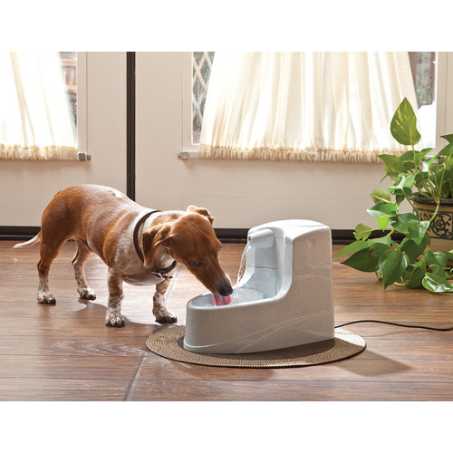 Drinkwell Drinkwell® Mini Pet Fountain - 1.2 L