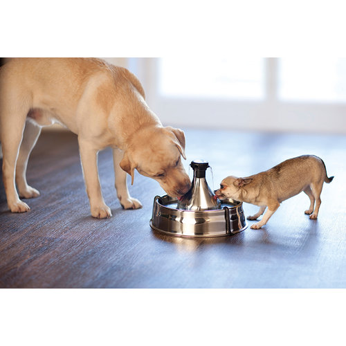 Drinkwell Drinkwell® 360 Stainless Steel Pet Fountain - 3.8 L