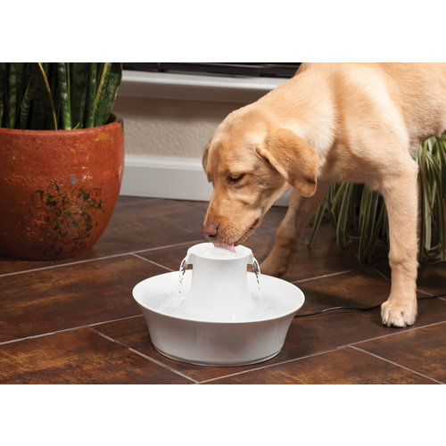 Drinkwell Drinkwell® Avalon Pet Fountain - 2 L