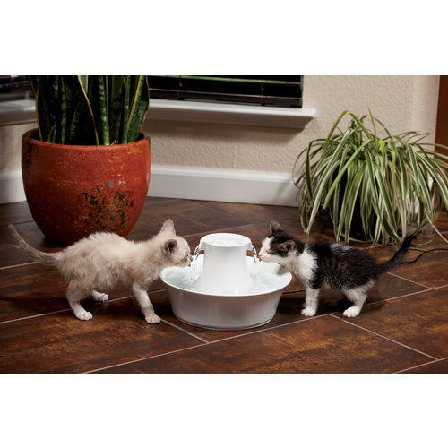 Drinkwell Drinkwell® Avalon Pet Fountain - 2 L