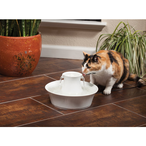 Drinkwell Drinkwell® Avalon Pet Fountain - 2 L