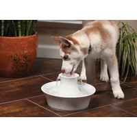 Drinkwell Drinkwell® Avalon Pet Fountain - 2 L