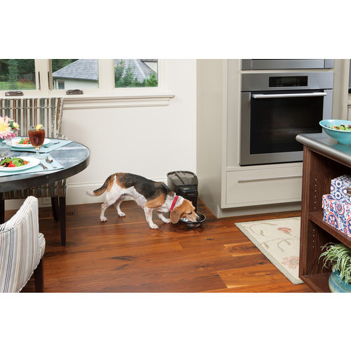 PetSafe® Petsafe® Healthy Pet Simply Feed™ Programmable Digital Pet Feeder