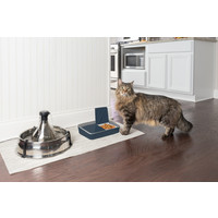 PetSafe® Petsafe® Digital Two Meal Pet Feeder