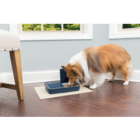 PetSafe® Petsafe® Digital Two Meal Pet Feeder