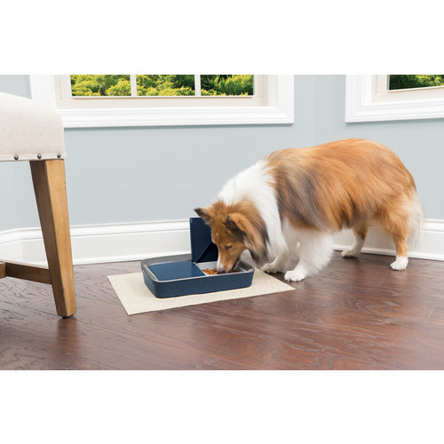 PetSafe® Petsafe® Digital Two Meal Pet Feeder