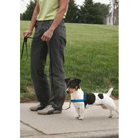 Easy Walk® Easy WalkÂ® Luxus Hundegeschirr