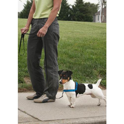 Easy Walk® Easy WalkÂ® Deluxe Harness