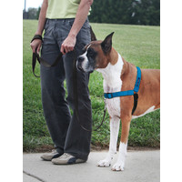 Easy Walk® Easy WalkÂ® Deluxe Harness