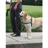 Easy Walk® Easy WalkÂ® Deluxe Harness