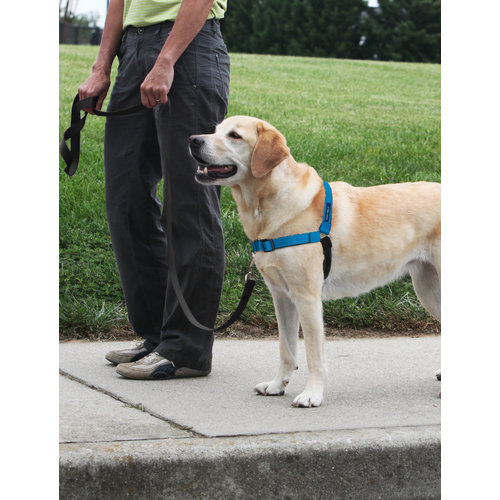 Easy Walk® Easy WalkÂ® Deluxe Harness