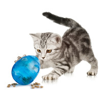 PetSafe® Petsafe® Katzenspielzeug Funkitty™ Egg-Cersizer™