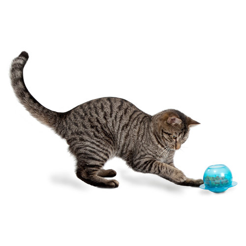 PetSafe® Petsafe® Fishbowl Cat Feeder Toy