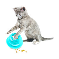 PetSafe® Petsafe® Fishbowl Cat Feeder Toy