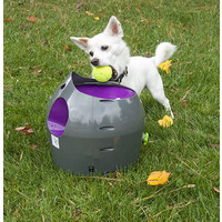 PetSafe® Petsafe® Automatic Ball Launcher