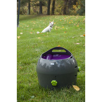 PetSafe® Petsafe® Automatic Ball Launcher