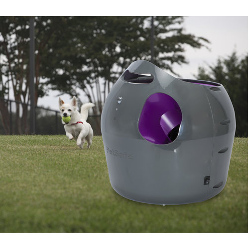 PetSafe® Petsafe® Automatic Ball Launcher
