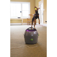 PetSafe® Petsafe® Automatic Ball Launcher