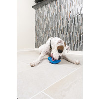 PetSafe® Petsafe®  Chilly Penguin Freezer Toy