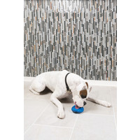 PetSafe® Petsafe®  Chilly Penguin Freezer Toy