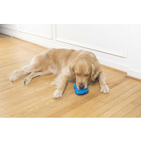 PetSafe® Petsafe®  Chilly Penguin Freezer Toy