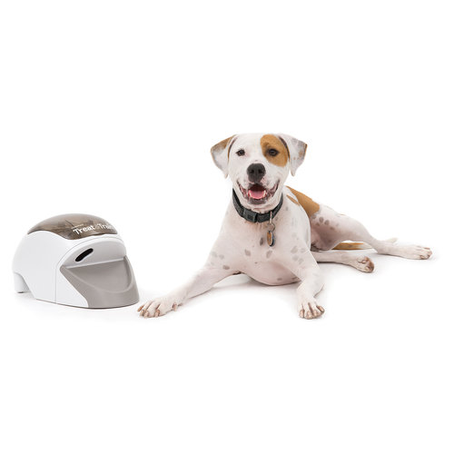 PetSafe® Petsafe® Treat & Train® Remote Reward Dog Trainer