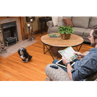 PetSafe® PetSafe® Remote Trainer 300M