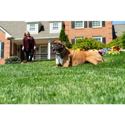 PetSafe® PetSafe® Remote Spray Trainer