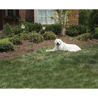 PetSafe® PetSafe® Outdoor Bark Control