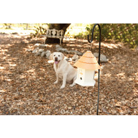 PetSafe® PetSafe® Bark Control Collar