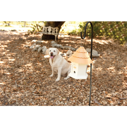 PetSafe® PetSafe® Bark Control Collar